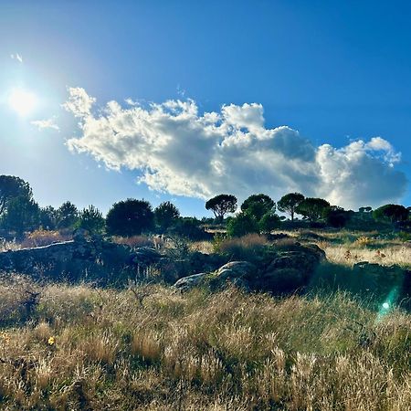 Casa Rural, “El Andador” El Hoyo de Pinares Εξωτερικό φωτογραφία