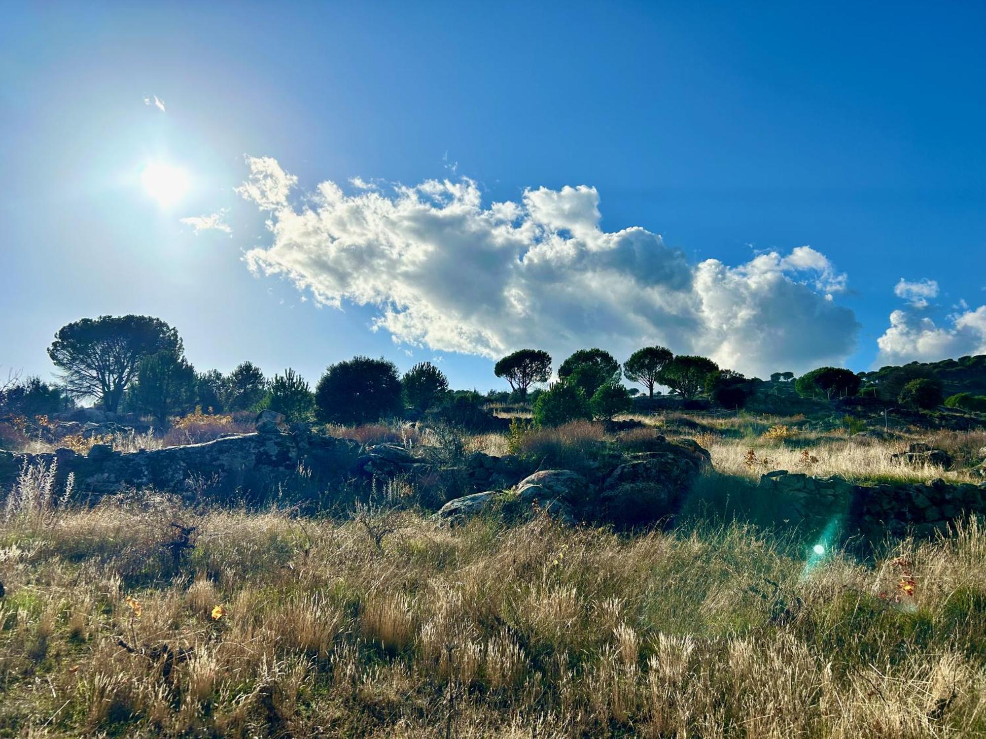 Casa Rural, “El Andador” El Hoyo de Pinares Εξωτερικό φωτογραφία
