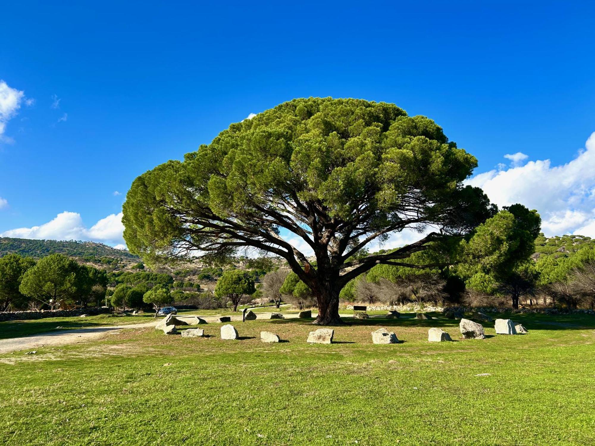 Casa Rural, “El Andador” El Hoyo de Pinares Εξωτερικό φωτογραφία